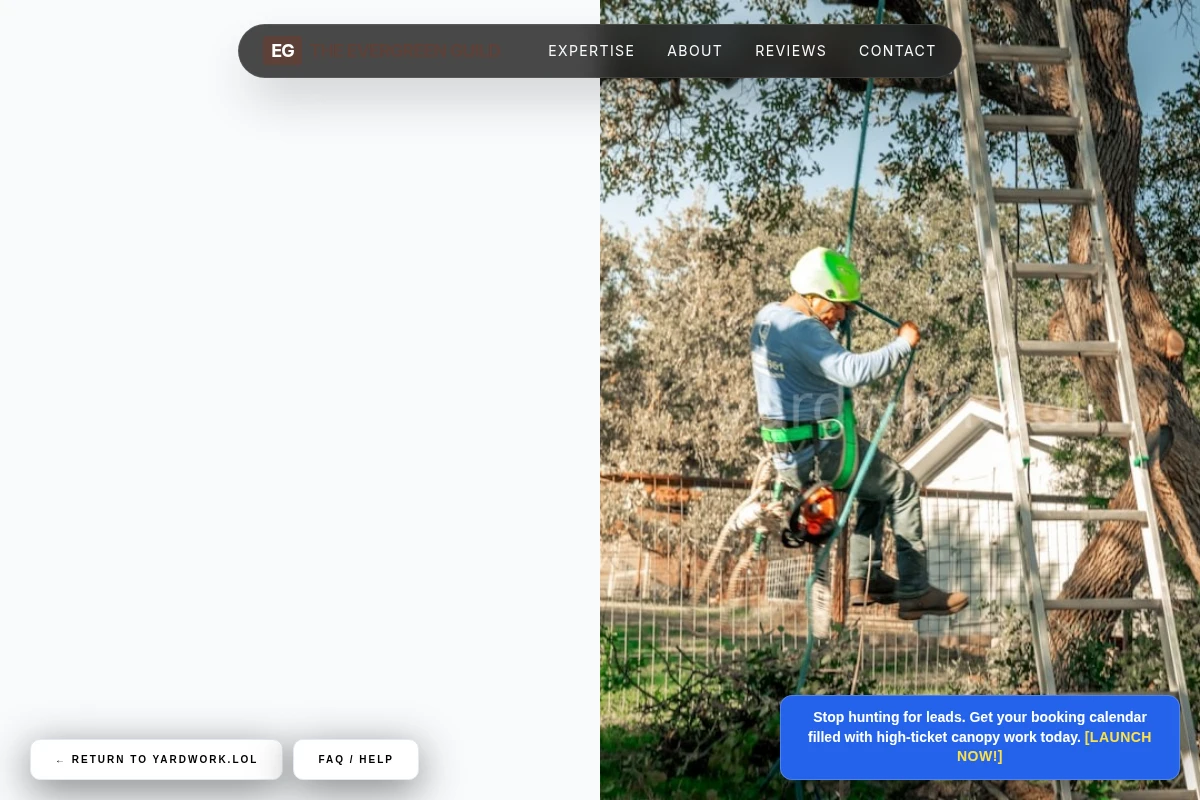 Sapling Tree Trimming